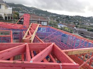 Aotea_Safety_Nets_0082 (Medium)